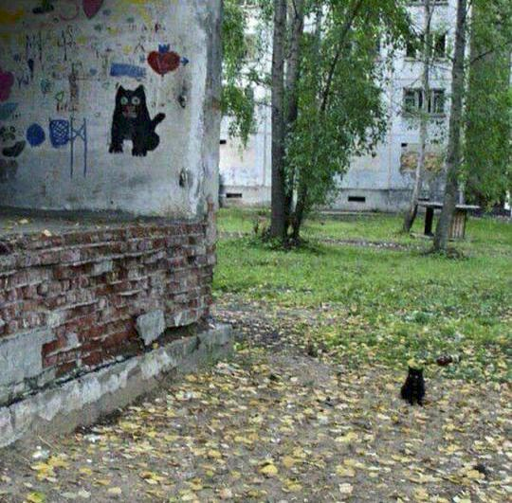 A photograph of a black cat sitting in the grassy area between residential blocks. Behind him, one block and green tall trees. To the left and next to him we see a wall with graffiti an