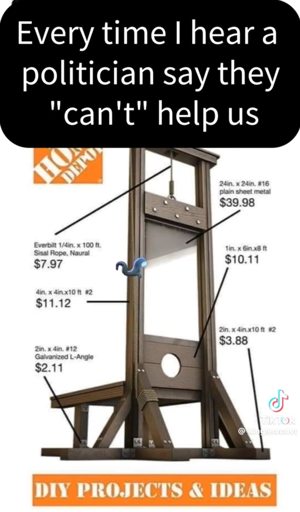 Every time l hear a politician say they
"can't" help us (Photo of a DIY project guillotine)