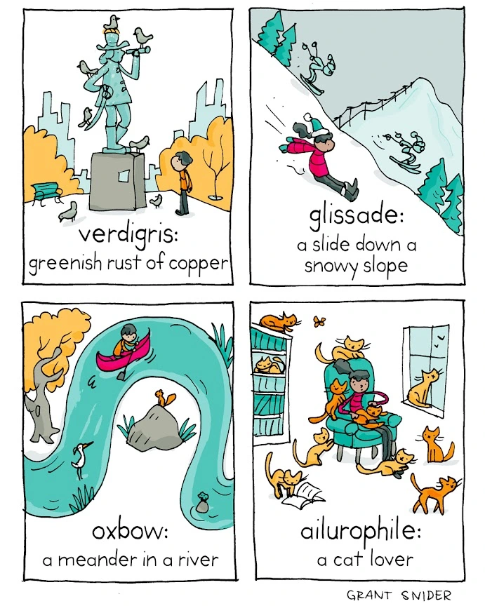 New Words of Wonder [INCIDENTAL COMICS]