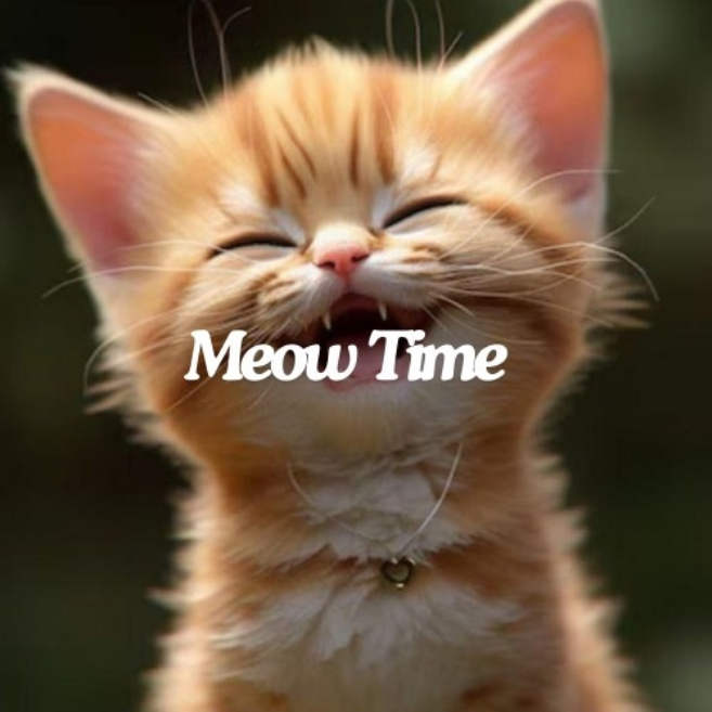 Meow Time!