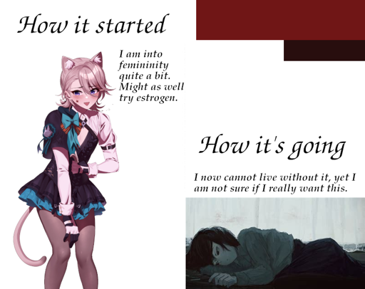 A meme how it started vs how it's going picture of crossdressing Lynee saying: "I am into femininity quite a bit. Might as well try estrogen". And a picture of a sad girl saying: "I now cannot live without it, yet I am not sure if I really want this".