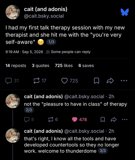 Counter-Therapism Rule