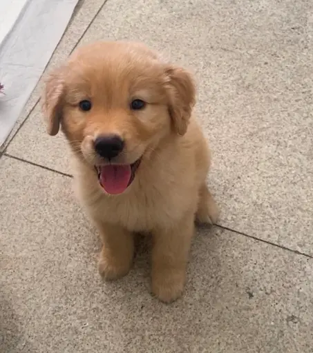 Cute smile